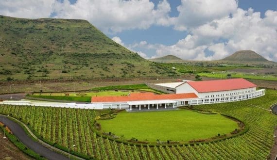 Thumbnail for Reyes Beverage Group acquires RNDC operations across 10 US states and Washington