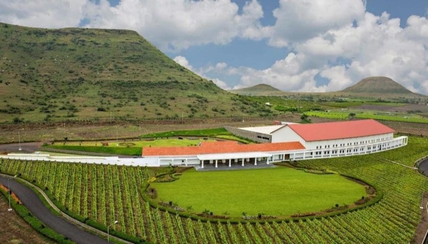 Thumbnail for Sula Vineyards acquires Moët Hennessy’s Chanon estate in India