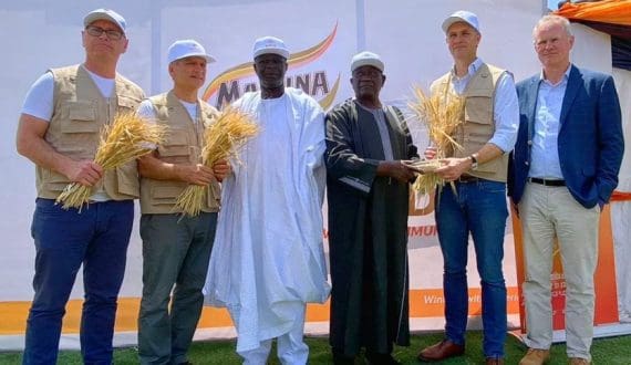 Thumbnail for Nestlé launches Choco Crossies snack vibes with cocoa-free ChoViva chocolate alternative 