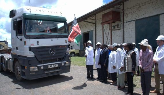 Thumbnail for Watermelon category tops at retail as NWPB reveals path to year-round growth