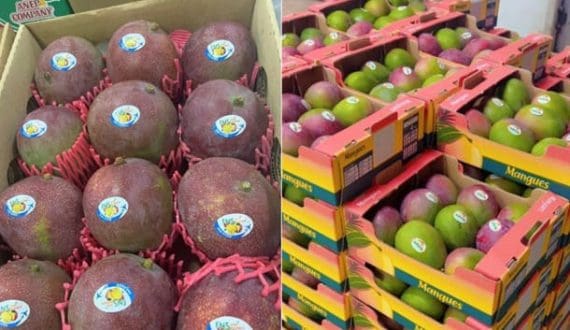 Thumbnail for USIU-Africa launches Innovation & ESG program to transform food manufacturing in Africa 