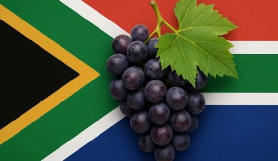 Thumbnail for South African table grapes debut in Philippines, reach 17 top markets