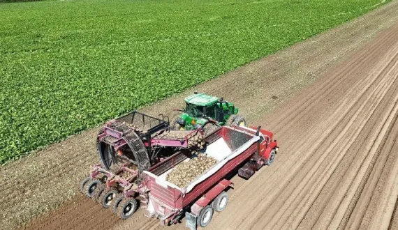 Thumbnail for USDA announces US$150M aid for sugar beet and sugarcane farmers amid market pressures 