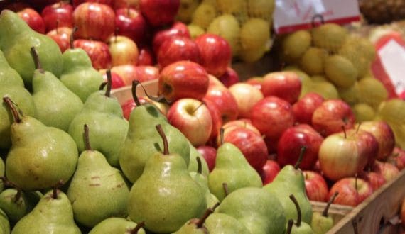 Thumbnail for Chilean blueberry sector shifts to tech-driven models, genetic renewal as quality becomes global baseline