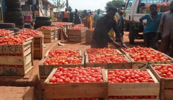 Thumbnail for Zambeef advances sustainability with waste-water heat recovery project