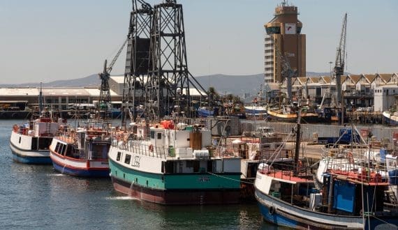 Thumbnail for U.S.,Taiwan sign red meat trade agreement amid shifts in global pork market