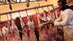 Kenyan meat exporters face US$7.3M losses as Middle East conflict disrupts trade