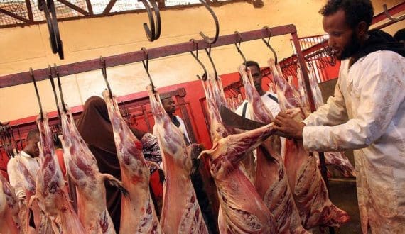 Thumbnail for Saudi Arabia reports poultry output above 1.31 million tons while tightening import restrictions