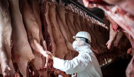 Thumbnail for Hong Kong suspends poultry imports from Netherlands, Argentina, and Japan over bird flu