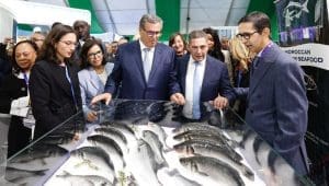 Morocco joins UN-backed program to strengthen management of marine fisheries