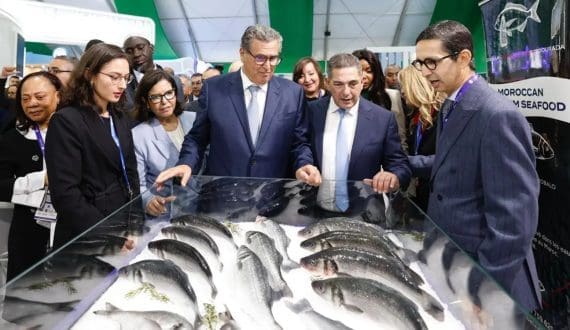 Thumbnail for Lulu opens Xpress store at Al Khawaneej Endowment Mall project in Dubai