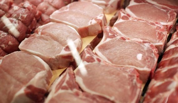 Thumbnail for Angola moves to expand poultry production to reduce chicken imports