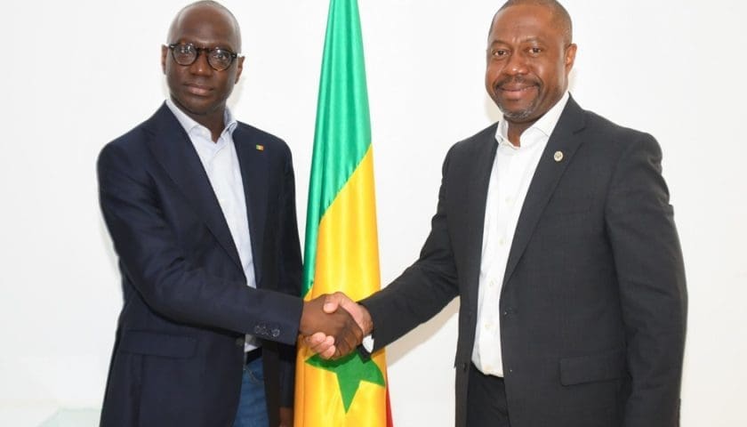 Thumbnail for Gabon looks to Senegal as it prepares poultry import ban in 2027