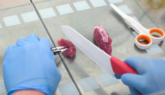 Thumbnail for Egypt’s KRDI posts US$ 866,000 net profit in 2025