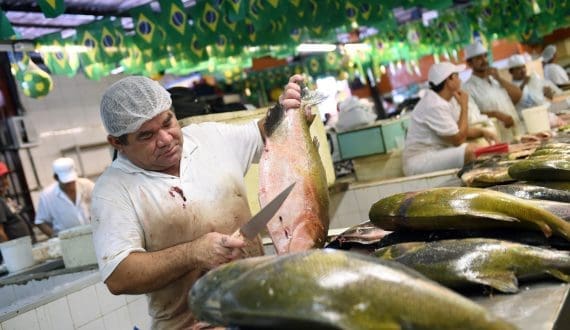 Thumbnail for Nigeria, China launch US$900M poultry project