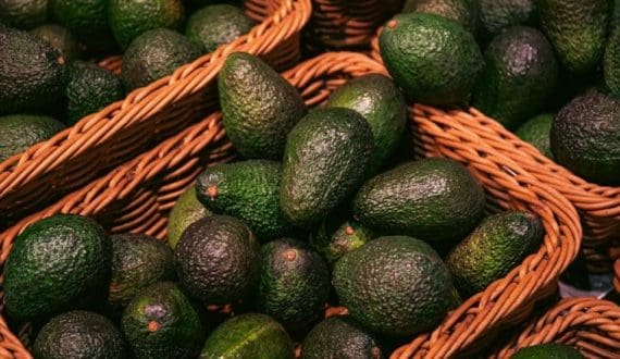 Thumbnail for Mars Incorporated completes US$180M investment to modernise manufacturing across Ontario facilities 