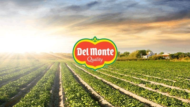 Thumbnail for Fresh Del Monte completes US$285M acquisition, reuniting iconic brand after 40 years