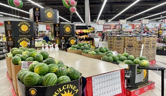 Thumbnail for Egypt’s KRDI posts US$ 866,000 net profit in 2025