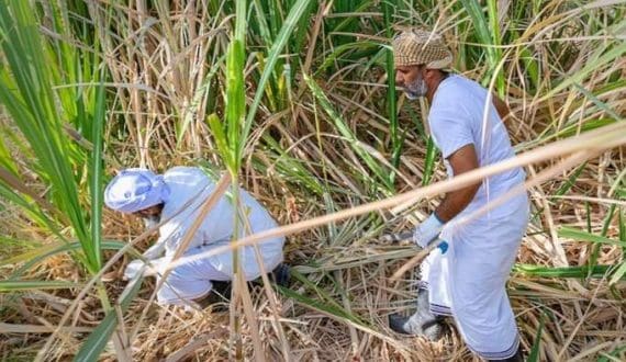 Thumbnail for Ghana, Colombia sign direct maritime corridor deal, linking Tema to Cartagena