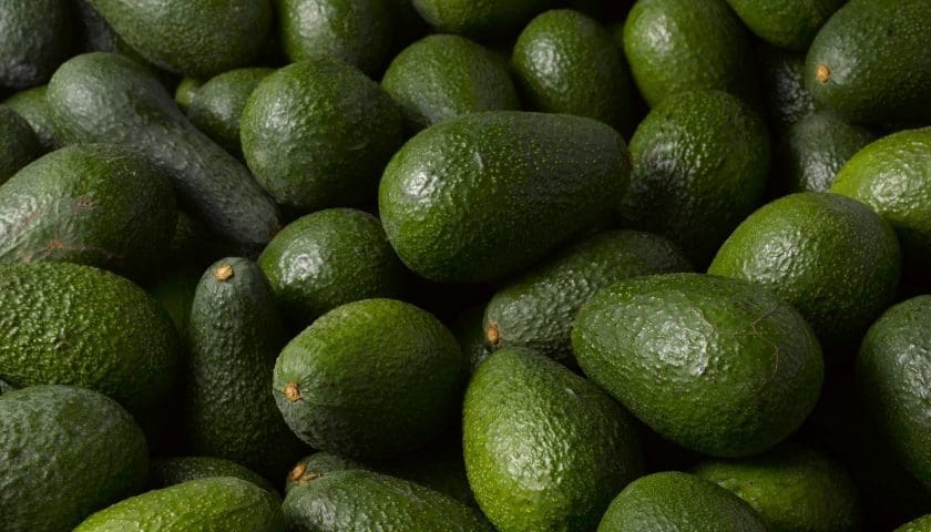 Thumbnail for Saudi Arabia expands avocado production in Asir highlands with 80% success rate