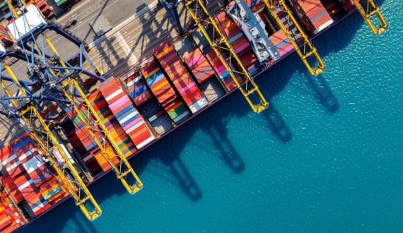 Thumbnail for US organic produce sales hit US$21.5B in 2024, berries lead growth