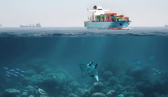 Thumbnail for Middle East disruptions reduces air freight capacity by 50%, Shippers turn to US routes