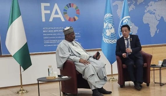 Thumbnail for World Bank approves US$500M AGROW initiative to transform Nigeria’s smallholder farming