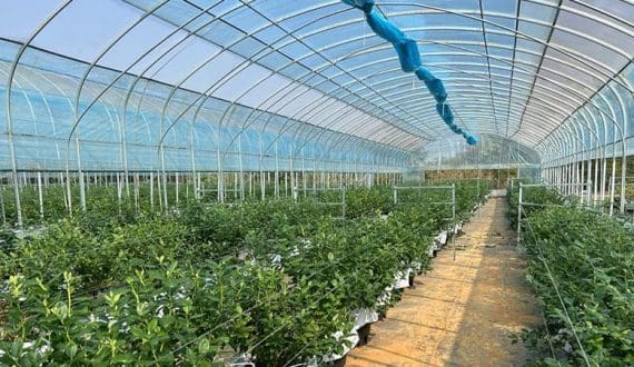 Thumbnail for GEODIS names Xavier Avrard as France, Africa CEO to strengthen freight forwarding