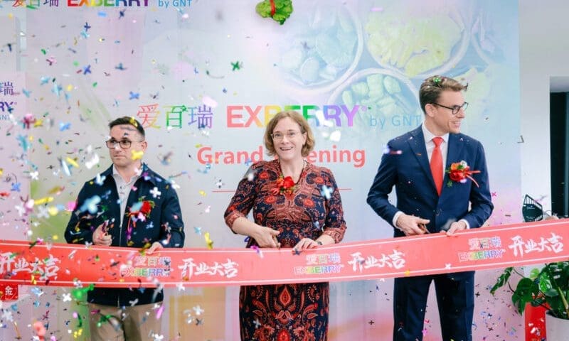 Thumbnail for GNT Group opens Shanghai office to expand plant-based colors in China 