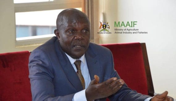 Thumbnail for African reefer shortage worsens as perishable exports surge, carriers use NOR containers