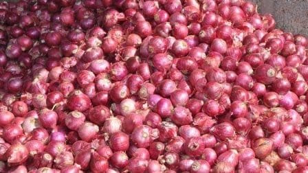 Thumbnail for Nigeria halts onion exports to Ghana over harassment, truck seizures 