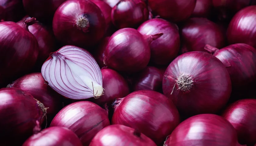 Thumbnail for Argentina launches Tinta INTA red onion with mild flavour, 48-ton yield