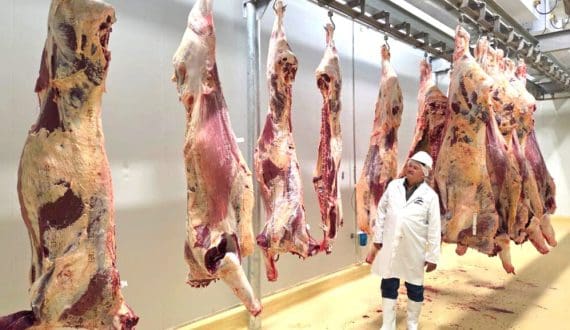 Thumbnail for Savanna Beef secures export approval to UK, EU and EFTA markets 