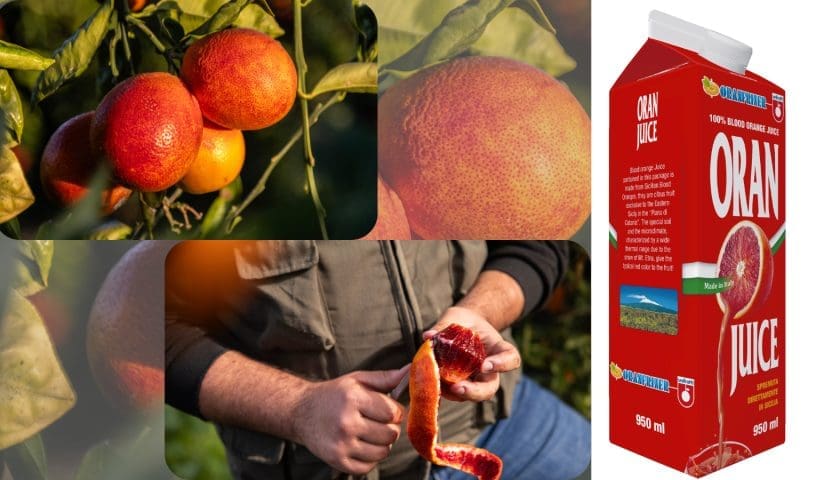 Thumbnail for Unifrutti, Sam’s Club China launch premium NFC blood orange juice