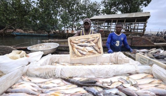 Thumbnail for CarniStore secures US$12.2M investment to expand premium protein business