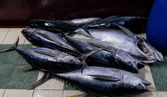 Thumbnail for DP World Dakar crosses 10M containers, ranks most efficient in sub-Saharan Africa