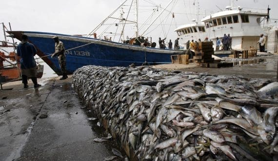 Thumbnail for African air cargo surges 21% in February, Africa-Asia trade leads global growth