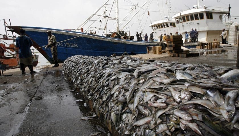 Thumbnail for Senegal, Spain sign deal to tackle illegal fishing