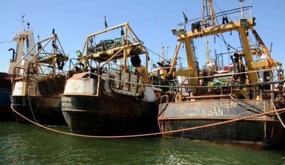 Thumbnail for AgDevCo provides US$15 million financing to Victory Group for tilapia expansion in East Africa