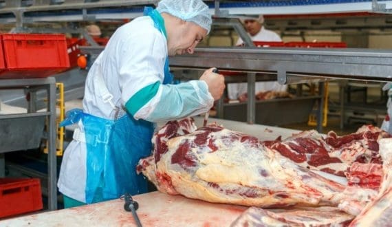 Thumbnail for Freight costs for meat exports surge as Middle East conflict disrupts trade routes