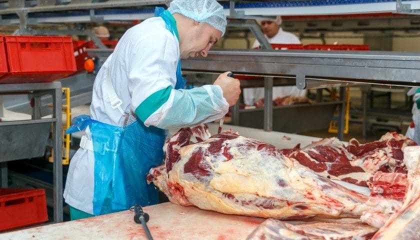 Thumbnail for Freight costs for meat exports surge as Middle East conflict disrupts trade routes