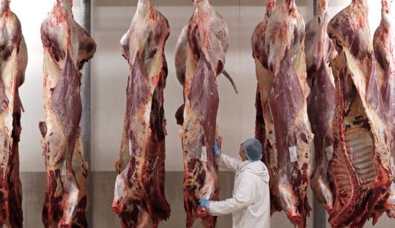 Thumbnail for Brazilian meat exporters reroute shipments as Iran conflict disrupts Gulf routes