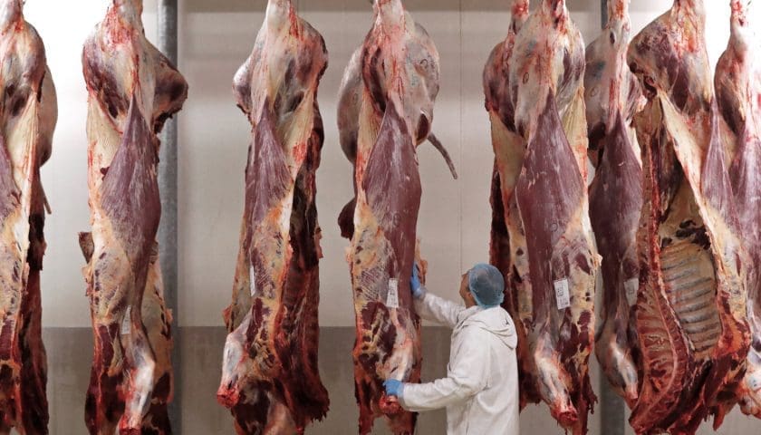 Thumbnail for Brazilian meat exporters reroute shipments as Iran conflict disrupts Gulf routes