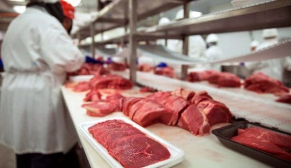 Thumbnail for Brazilian meat exporters reroute shipments as Iran conflict disrupts Gulf routes