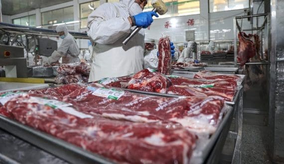 Thumbnail for Danish Crown to shift Aalborg food production to Vejle facility by 2028