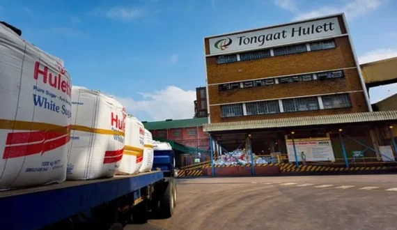 Thumbnail for African reefer shortage worsens as perishable exports surge, carriers use NOR containers