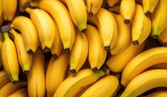 Thumbnail for Ecuador-South Korea FTA to cut banana tariffs to zero within five years