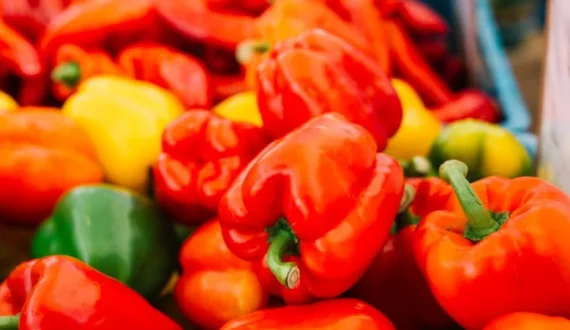 Thumbnail for Morocco doubles UK sweet pepper exports, secures fourth place among suppliers 