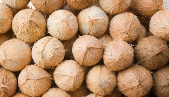 Thumbnail for Tanzania becomes Africa’s third-largest avocado producer as trade reforms improve trade transparency