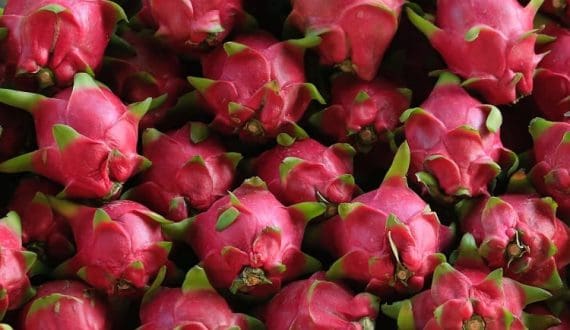 Thumbnail for Kenyan avocado output hits record 694,000 tonnes, exports fall on Red Sea crisis